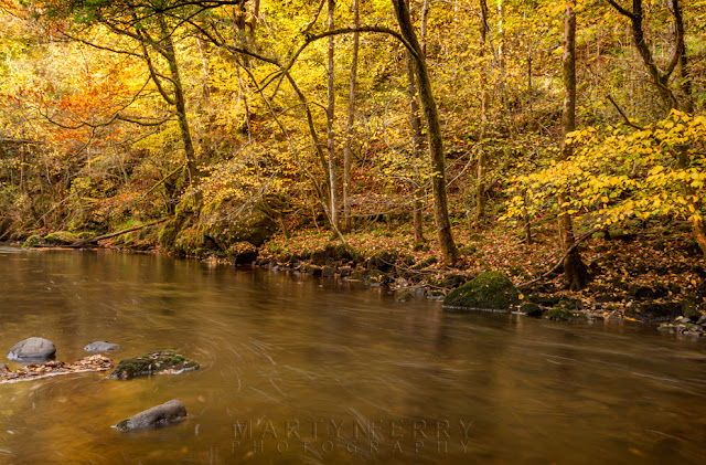 Golden autumn colours along the Afon Mellte in South Wales by Martyn Ferry Photography