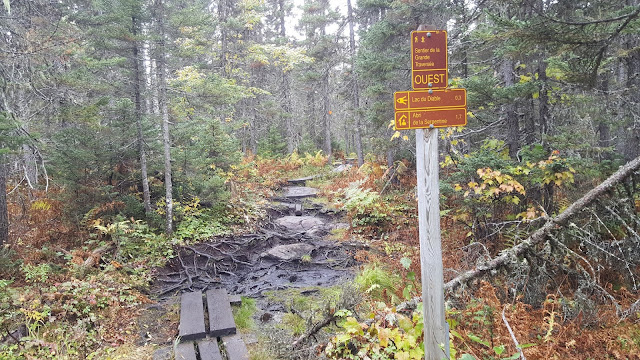 Intersection pour le mont Olivine