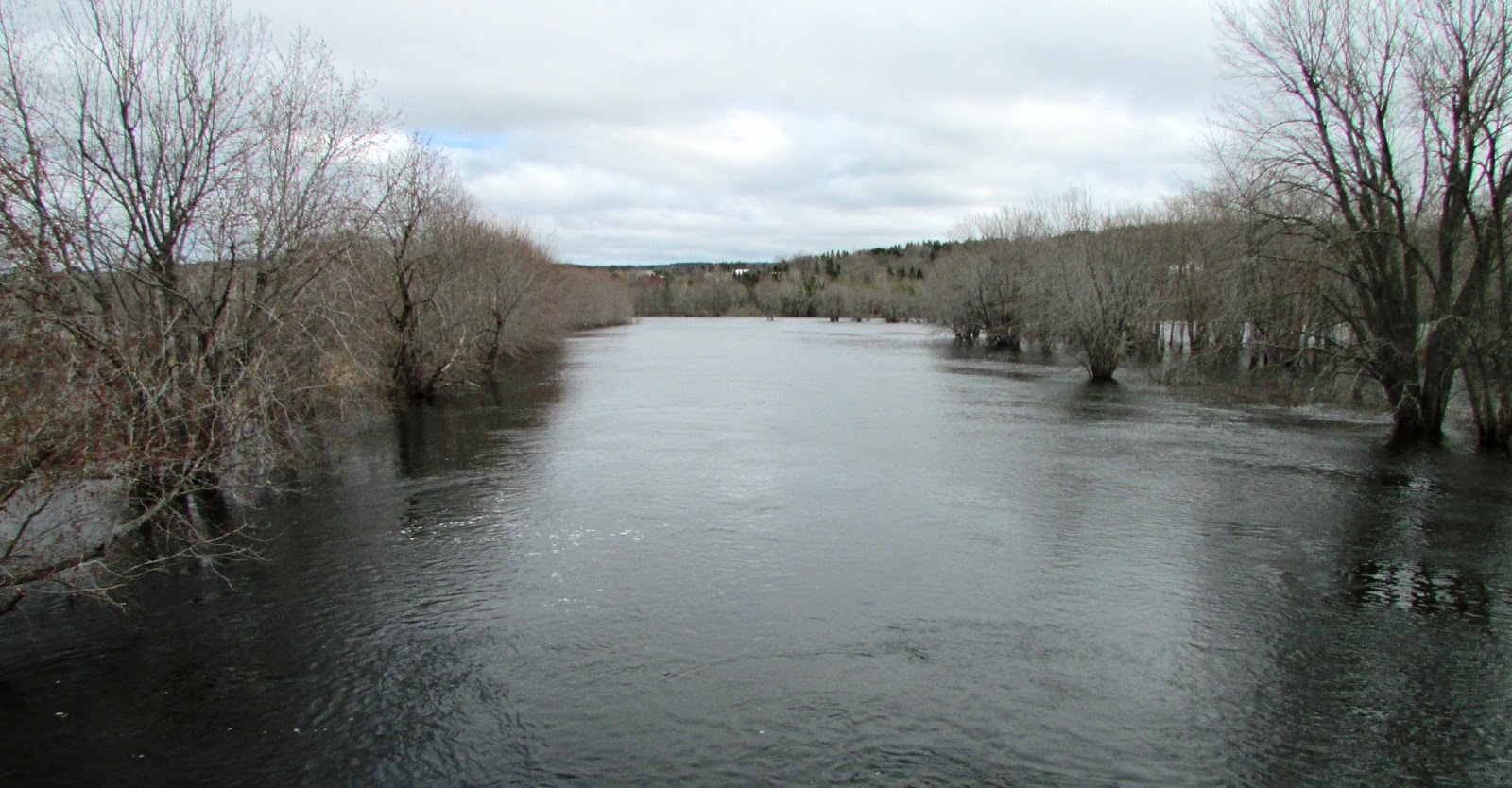 New Brunswick's Covered Bridges Darlings Island