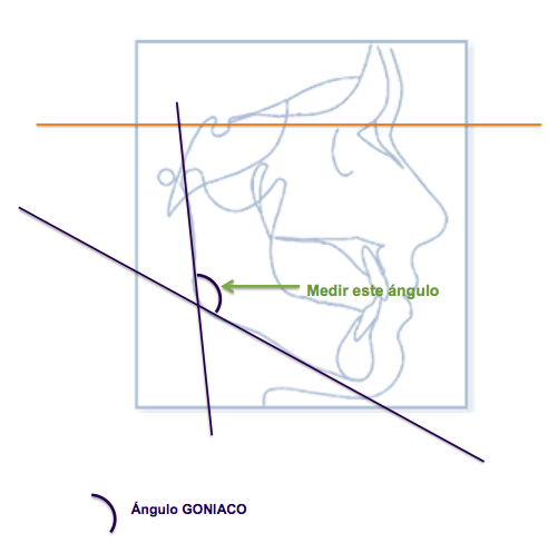 Estomatología I (Teoría): 2014