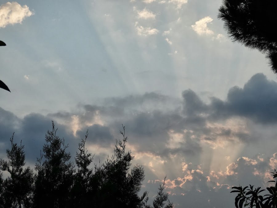 AMANECER EN EL TERRAO