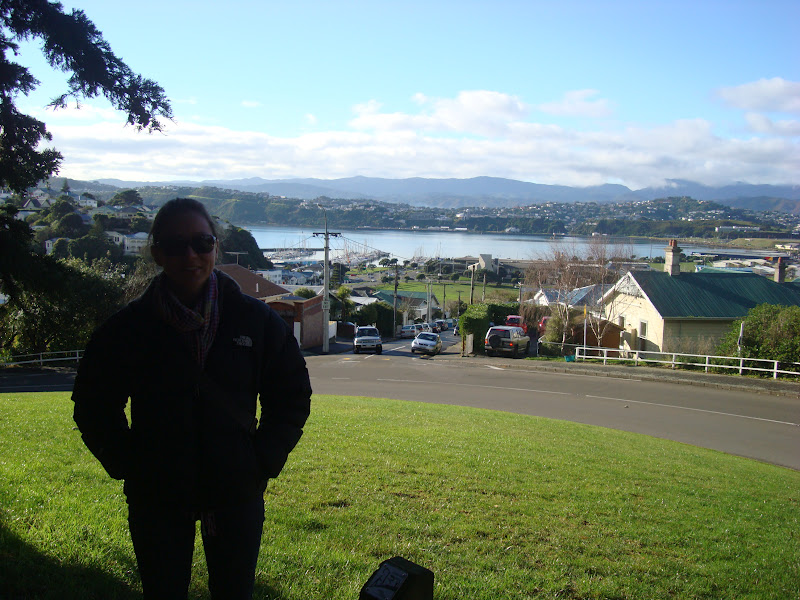 New Zealand Travels