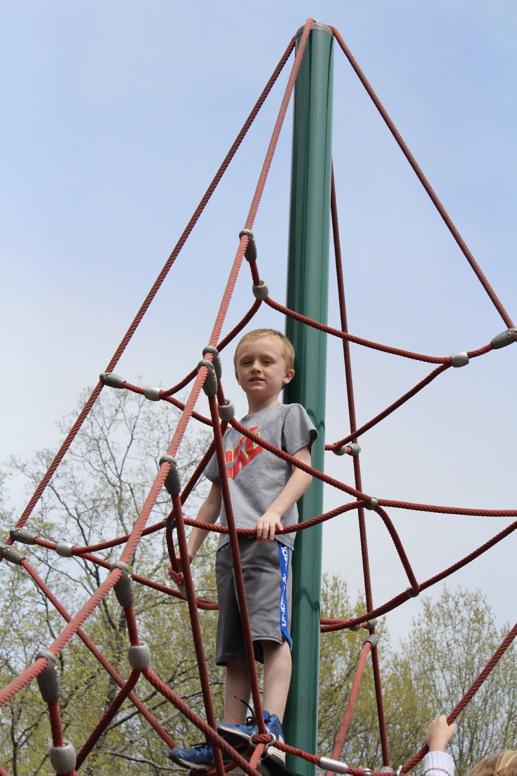three in the nest Pullen Park Birthday Party