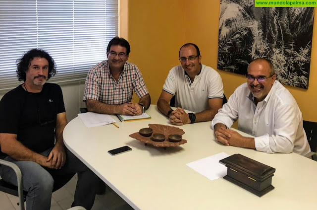 El Cabildo valora el desarrollo alcanzado por el cultivo de proteas en La Palma
