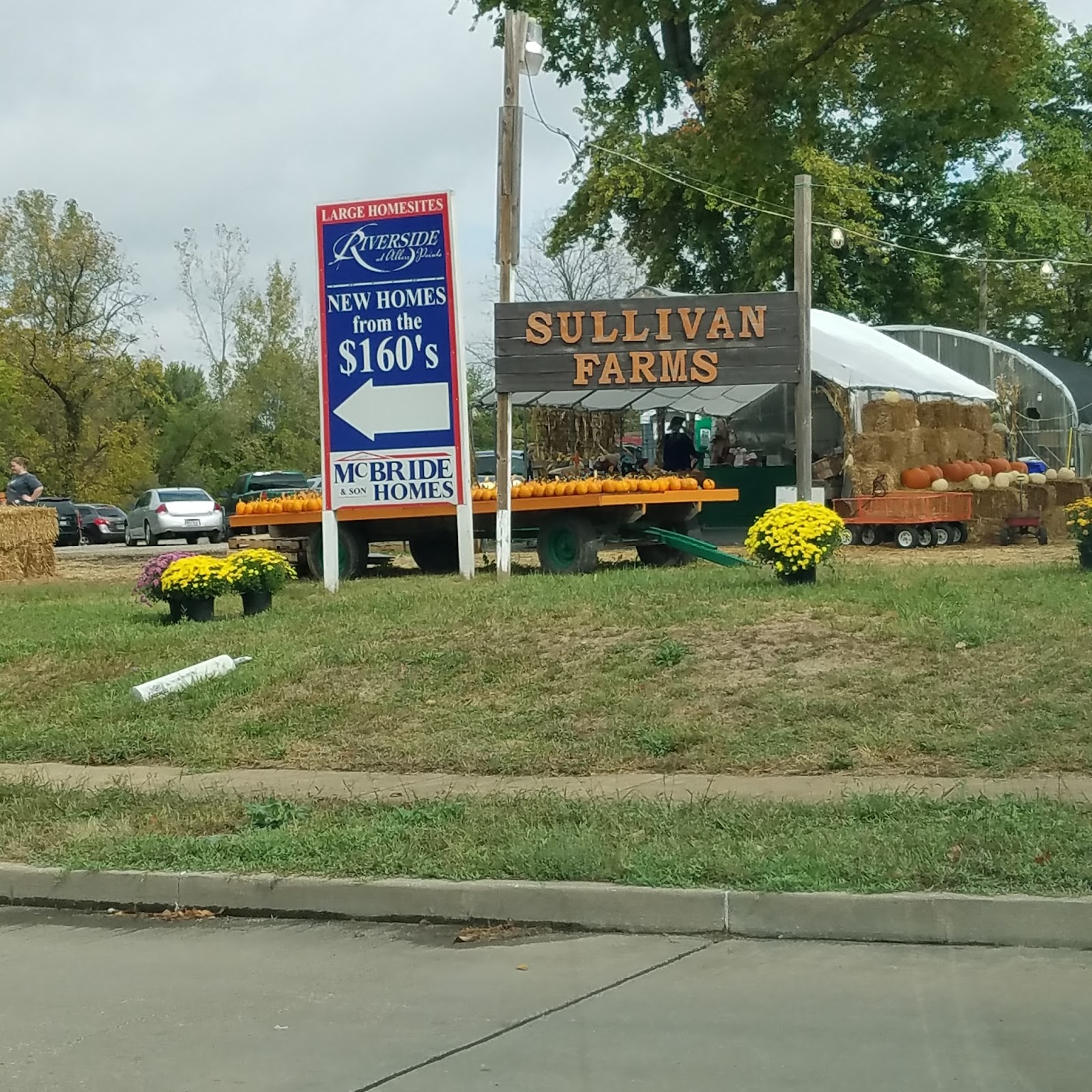 St Louis Zoo Train Ride Cost Literacy Basics
