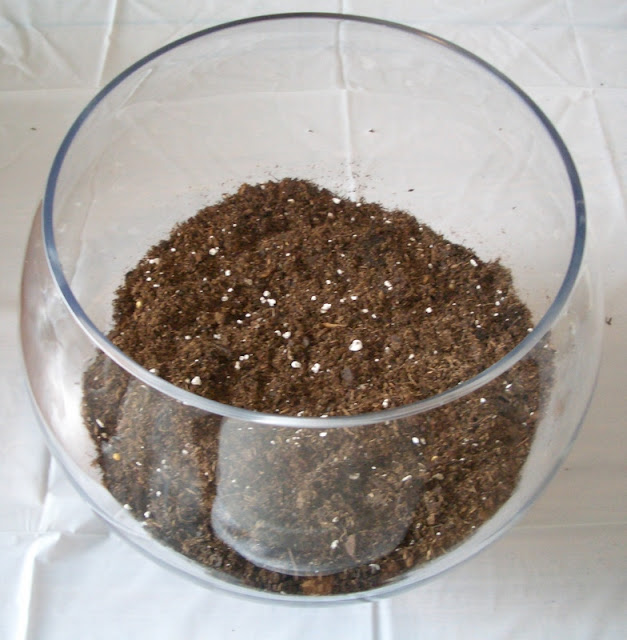 Cool Home Creations Bring in the Outdoors Terrarium (Second Edition)