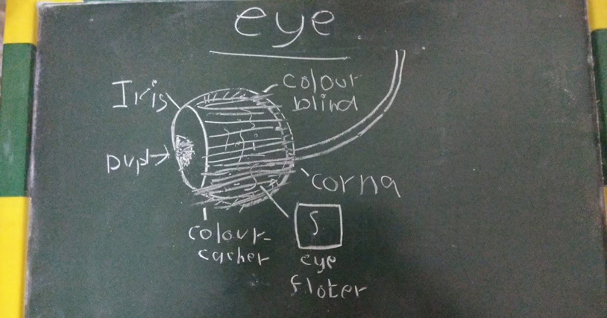 I have a weird kid... But I guess that runs in the family.