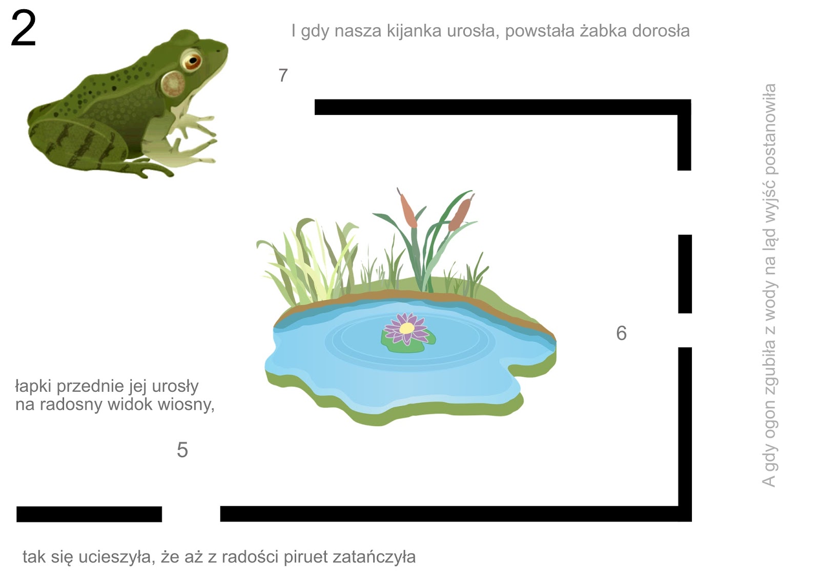 Jedynka" Koduje: Cykl rozwoju żaby - scenariusz dla ozobota