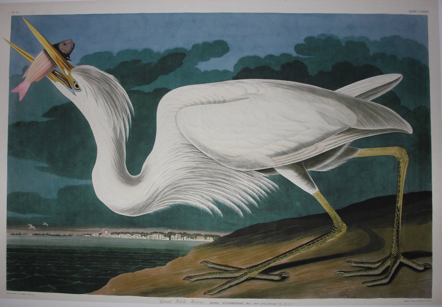 The Aviary Mary Oliver's birds in 'Blue Horses Poems'