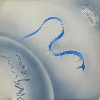 森と記録の音楽 [794] Elicoide Elicoide