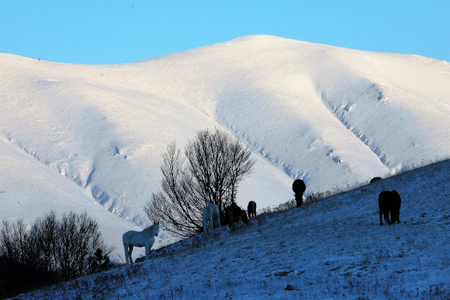 Parco Nazionale d'Abruzzo