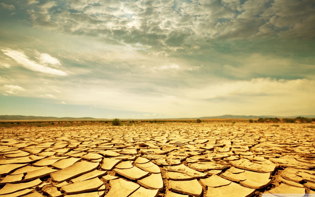 Dry Skin? Think Again!  The Truth About Oil Loving Complexions - 79mr1vs