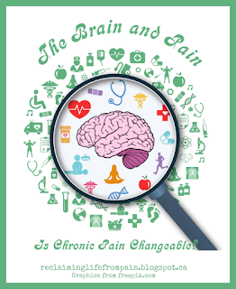 Brain and Pain 