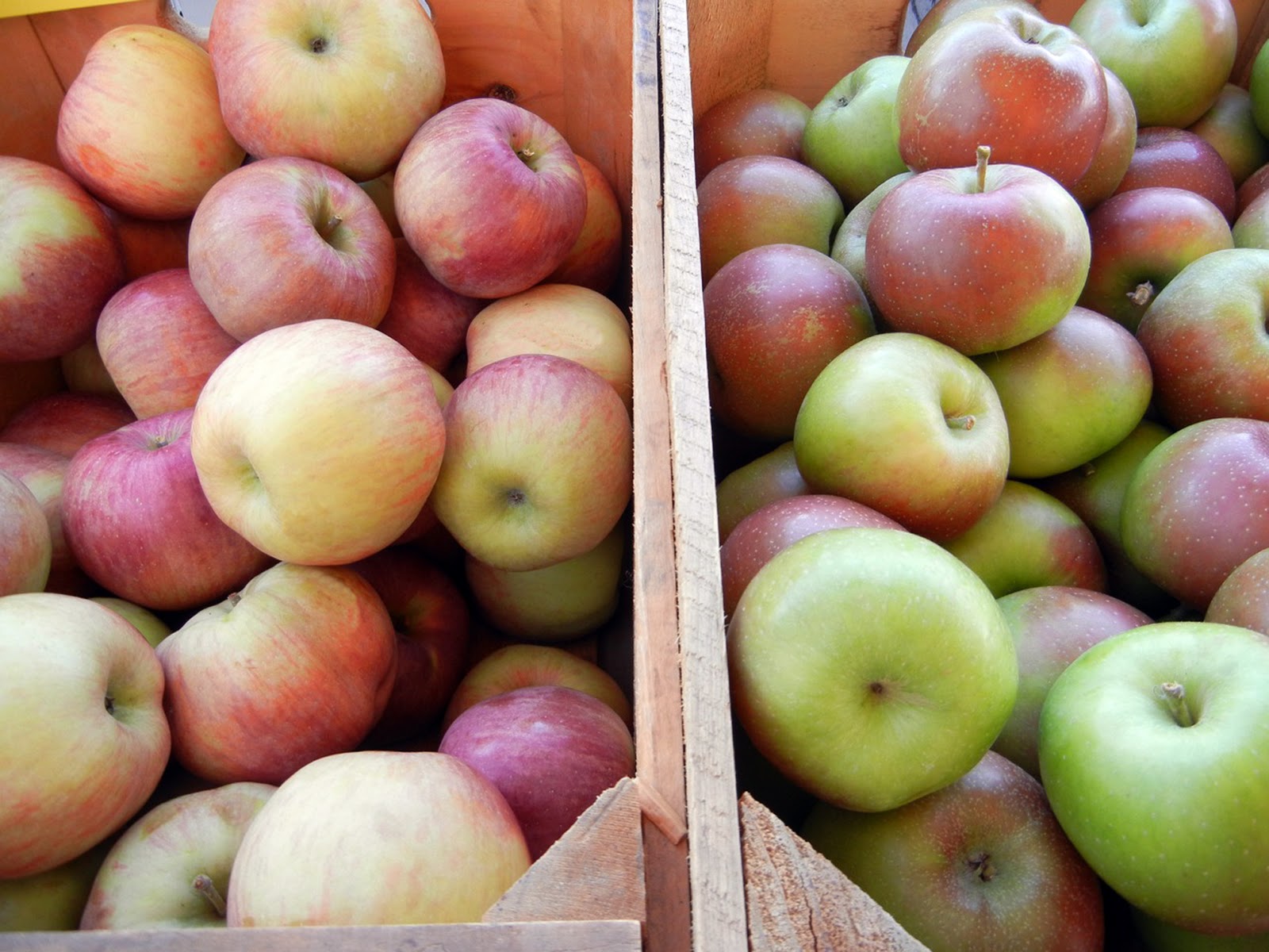 Braintree Farmers Market It's Apple Season at the Farmers Market