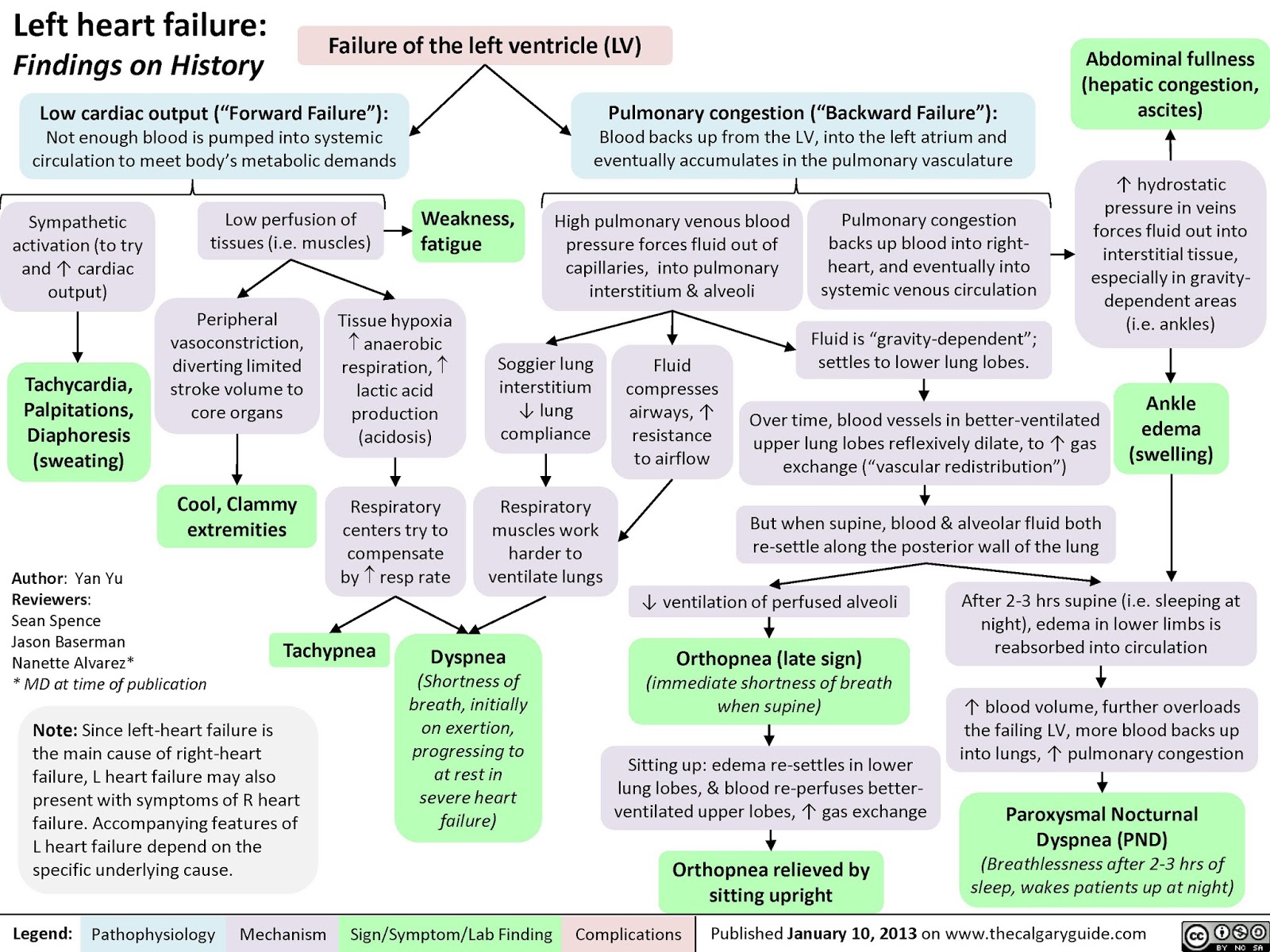 left-sided-heart-failure-treatment-guidelines-at-joseph-florence-blog