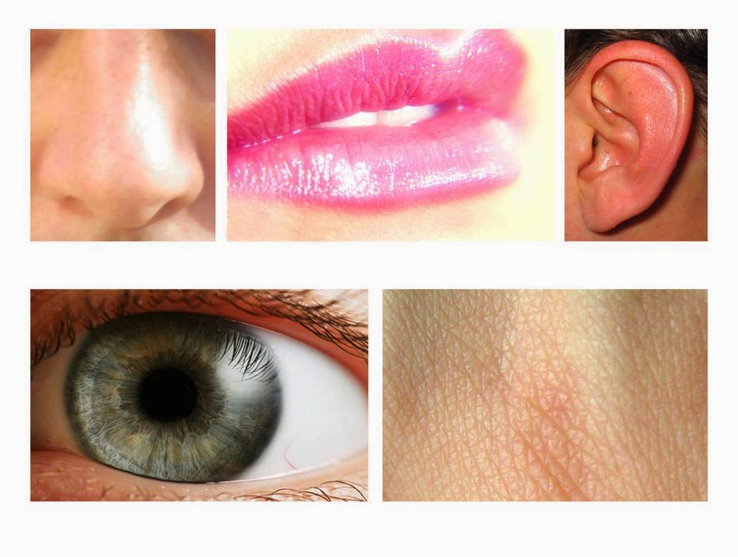 rePost MATERI TENTANG SISTEM KOORDINASI Biologi SMA/MA