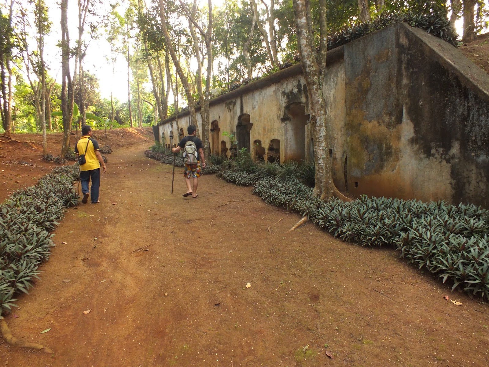 @aa_upayy: Bukit Belakang Rumah Nenek