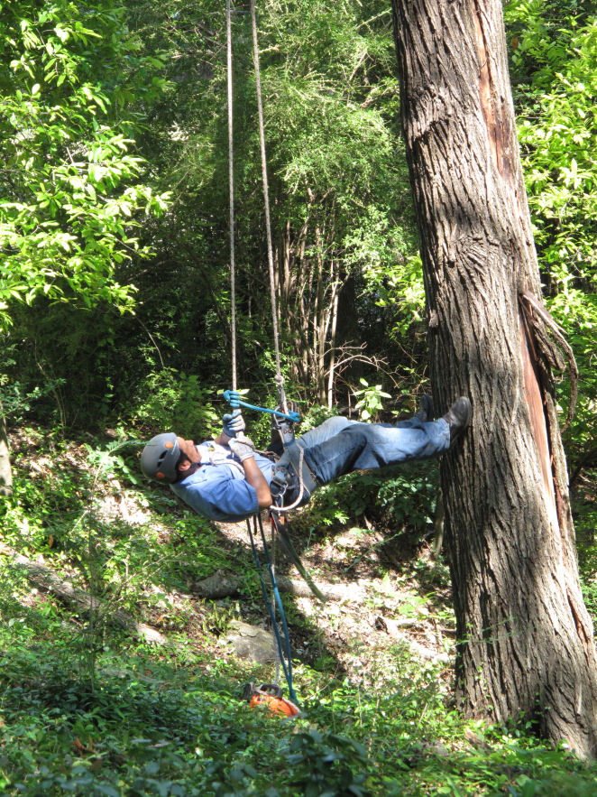 Appleton Studios Travel Log and Art Notes July 2016