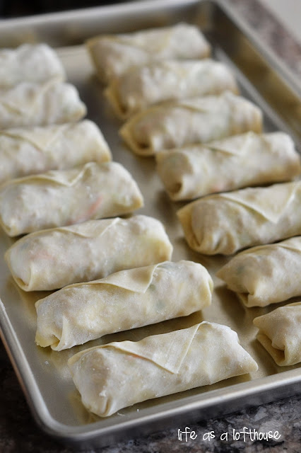 Chicken egg rolls are filled with seasoned ground chicken, fresh minced garlic and ginger, cabbage and carrots. Life-in-the-Lofthouse.com