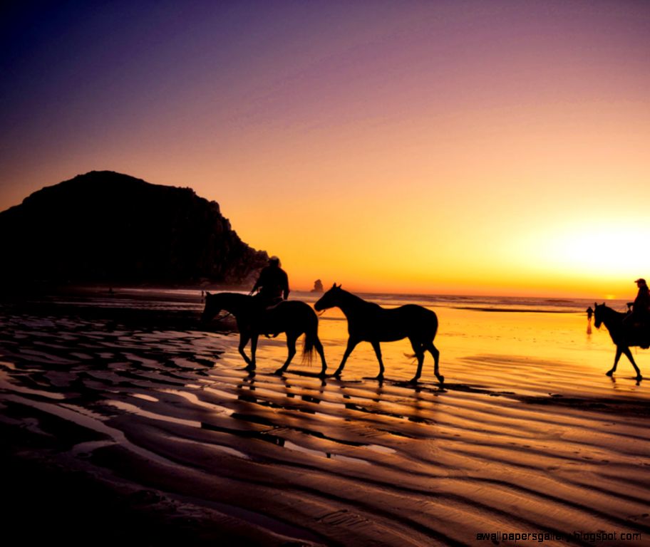Horses In The Sunset On The Beach