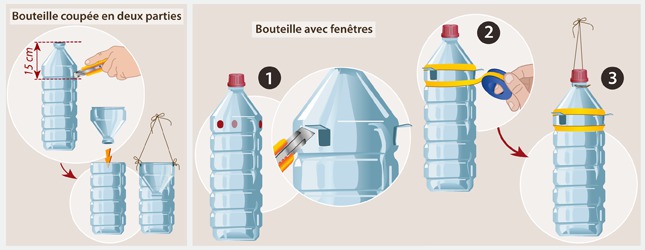 Le blog de la grainothèque les quatre chemins: Un piège à moustique