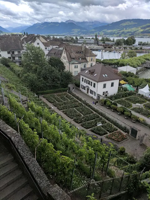 View of the hillside vineyards in Rapperswil, Switzerland