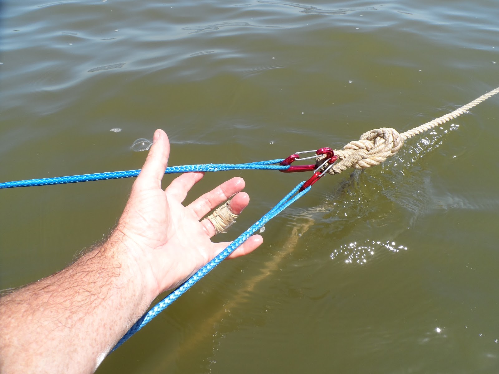 Sail Delmarva Dyneema Anchor Bridle