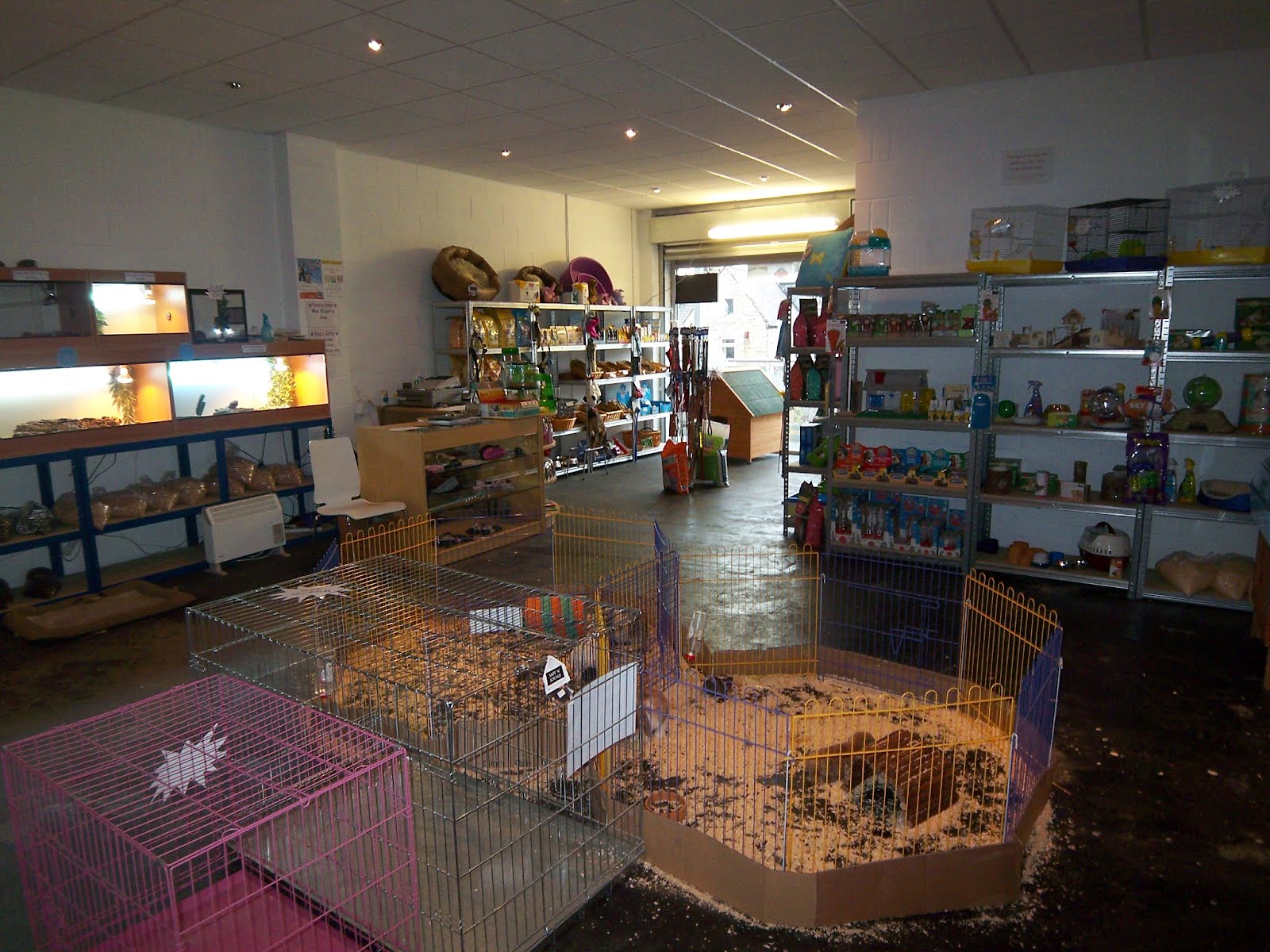 Ernest Wilson Nobody Sells Businesses Better! Greengates Pet Store, Bradford SOLD!