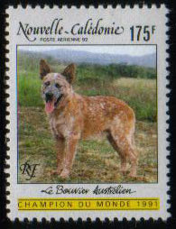 1991年ニューカレドニア オーストラリアン・キャトル・ドッグの切手