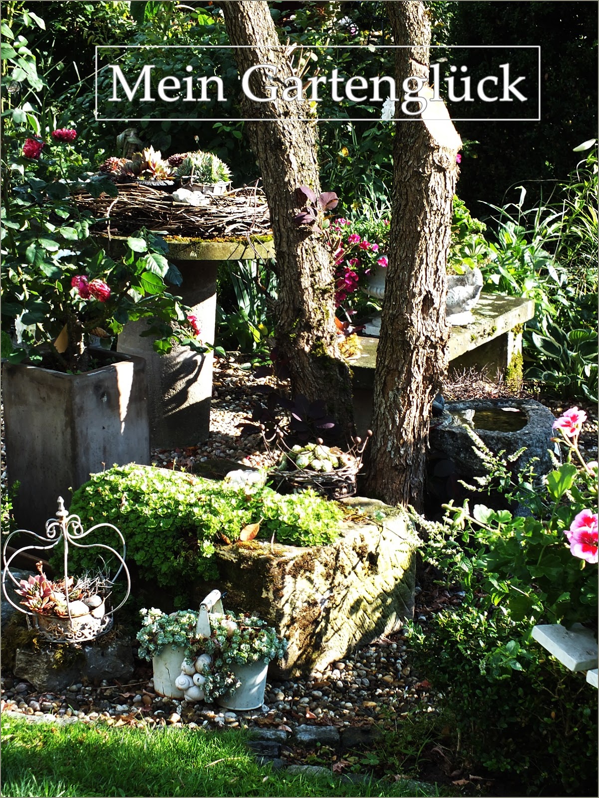 Mein Gartenglück Es ist Wimpelzeit!