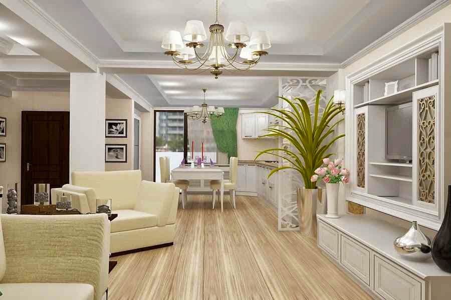 Design - interior - casa - clasica - de - lux