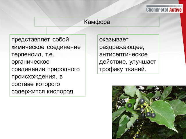купить артлайф Артлайф Беларусь в Гомеле, Минске, Бресте, Могилеве, Витебске, Гродно