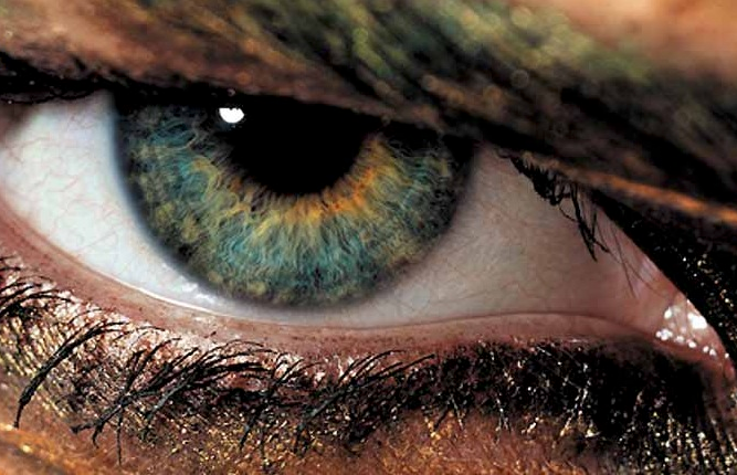 L'oeil était Dans La Tombe Et Regardait Cain Signification