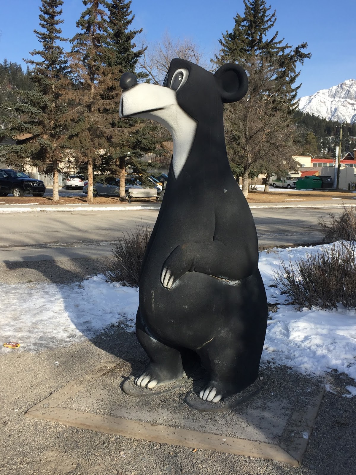 The view from here Jasper the bear, Jasper, Alberta