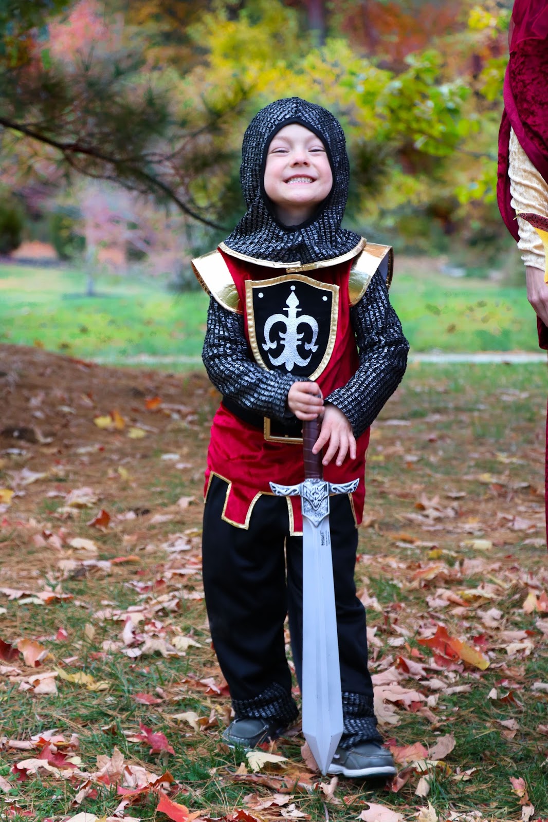 Medieval Theme Family Costumes Kiss Me Darling