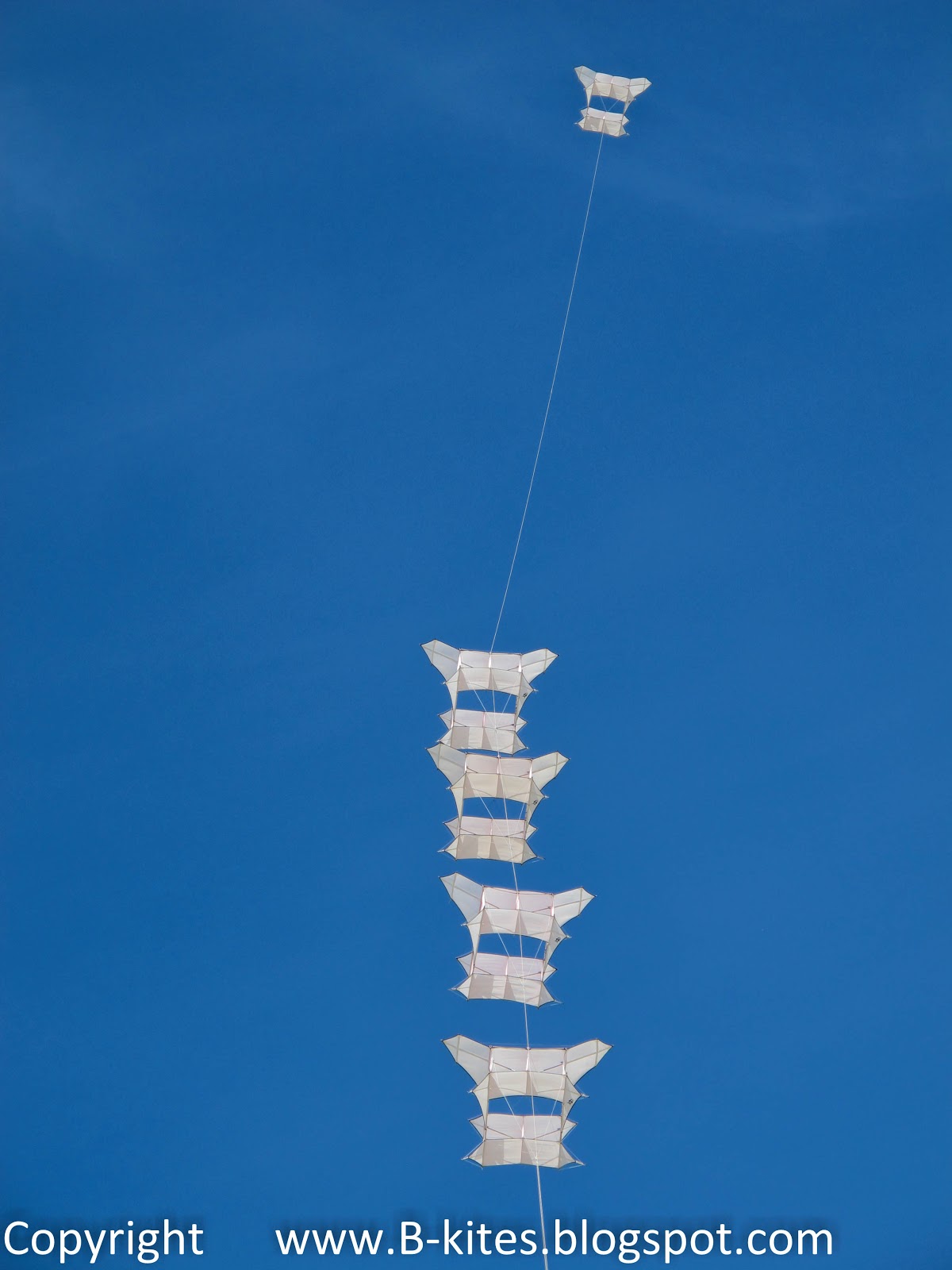 Bkites Man lifting kites in Berck