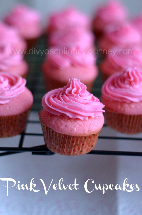 Pink colored cupcakes