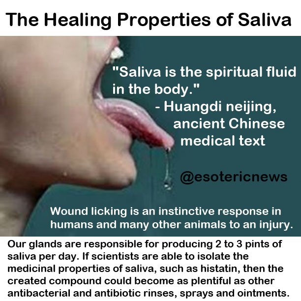 Conscious Transmitter The Healing Properties of Saliva!