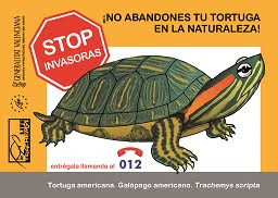 No abandones tu tortuga en la naturaleza