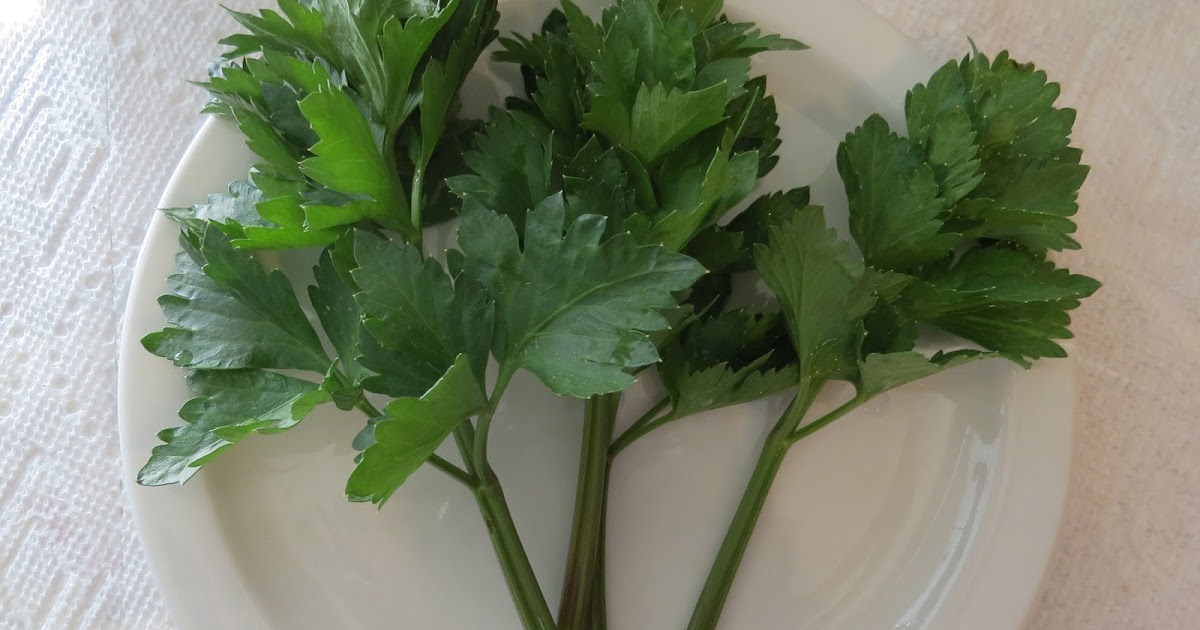 Edible Herbs, Flowers & Other Edibles Grow Your Own Dinner! Ode to