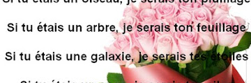 Petites poemes d'amour