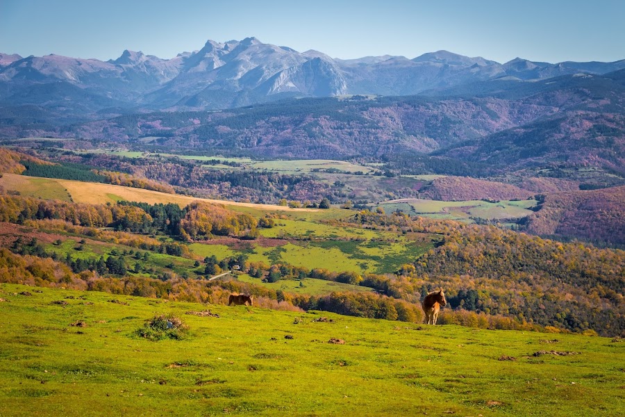 España, Navarra, Pirineo