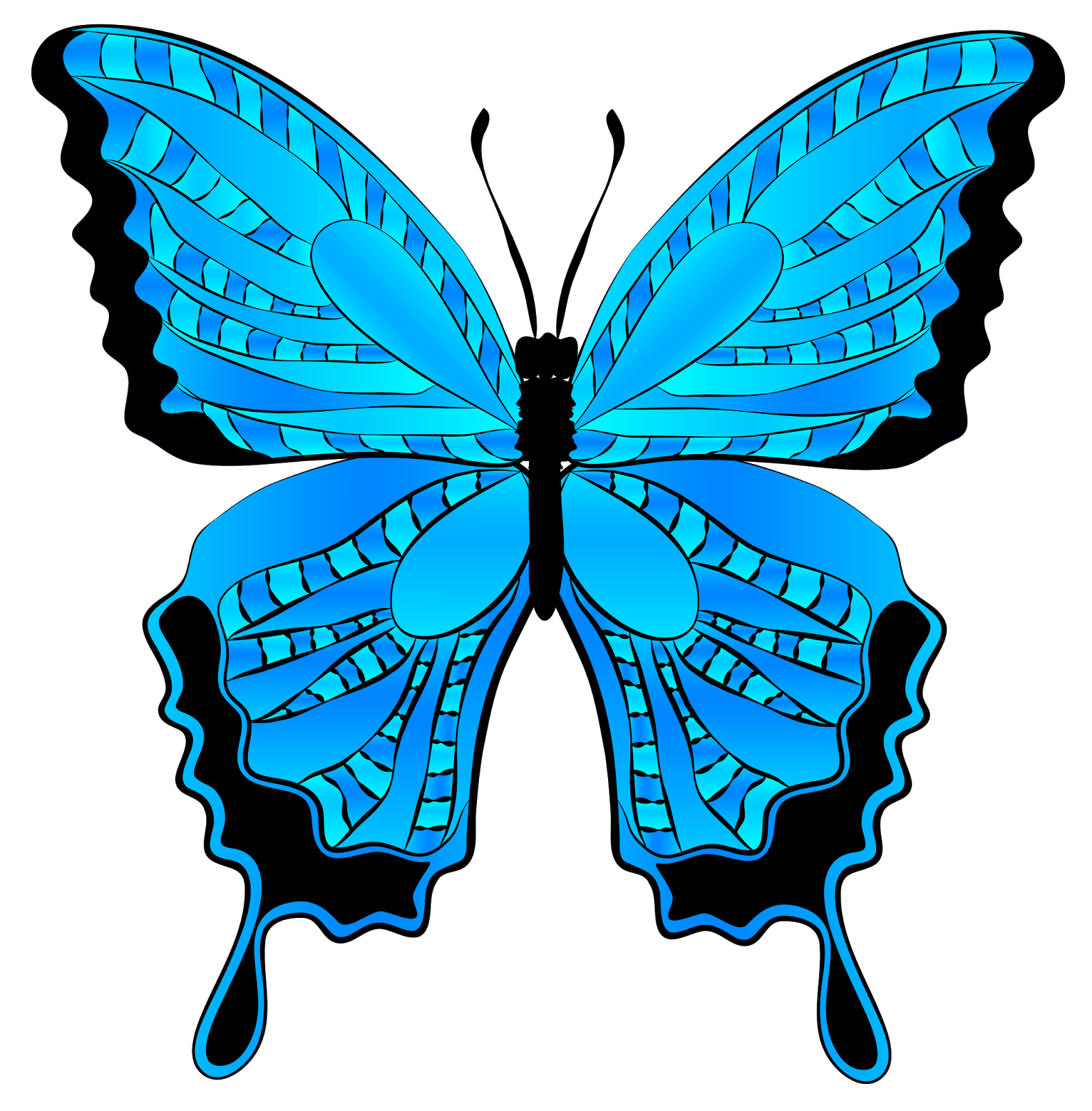 Цветной трафарет. Бабочка рисунок. Бабочки для вырезания цветные. Красивые бабочки на прозрачном фоне. Разноцветные бабочки на прозрачном фоне.