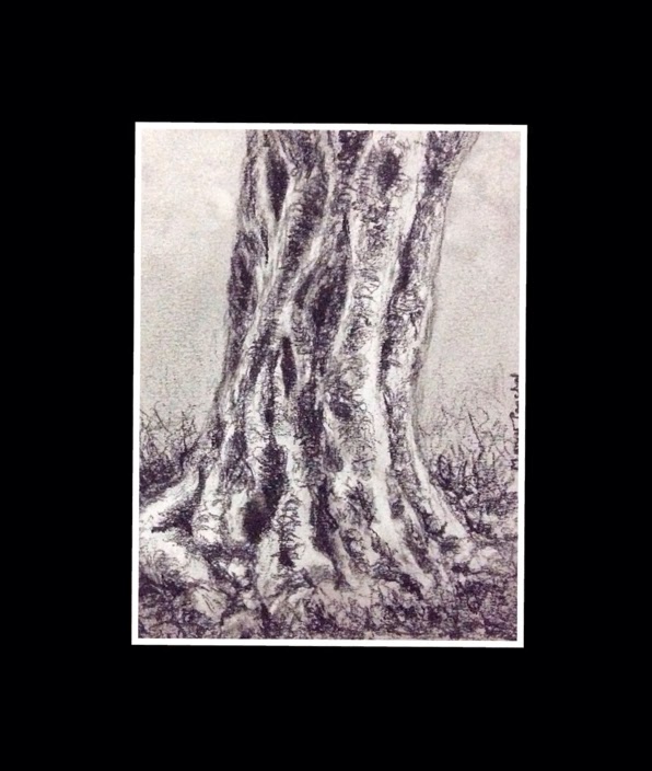 Sketching of a tree trunk in charcoal, on canson paper by Manju Panchal