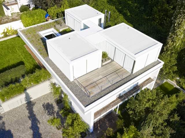 Modern House with Grass Roof - House S