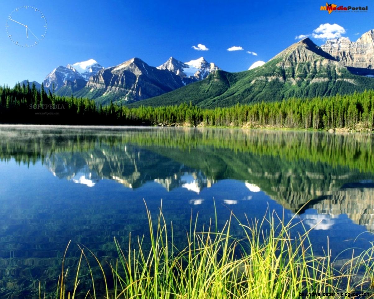 Super Nature Screensaver Download