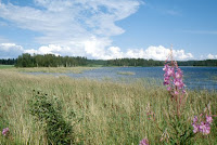 Finlande-paysage 3