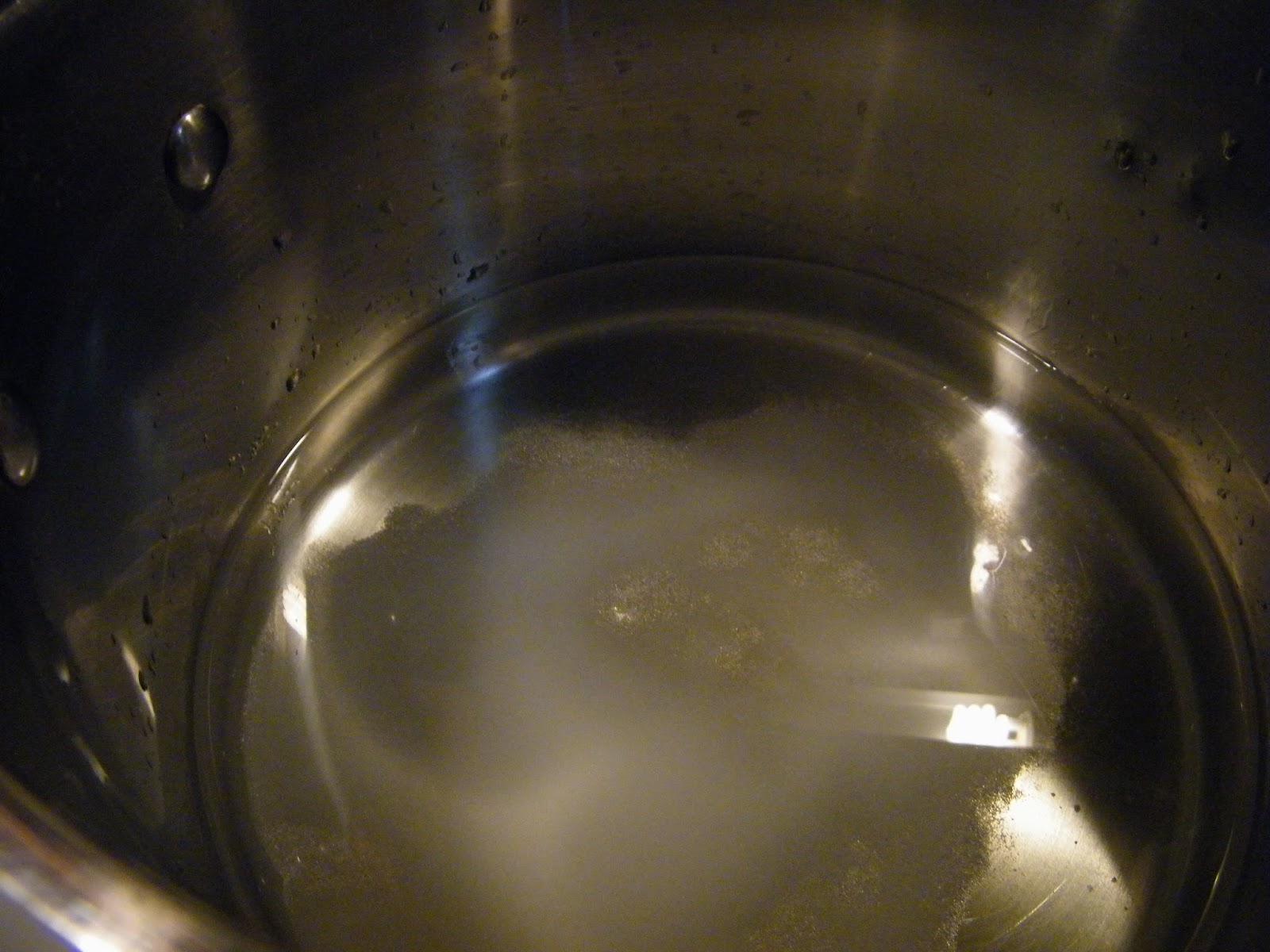 Veronica the Lazy Diva's Quasi-Crafty Blog: Waiting for my Sour Pickle ...