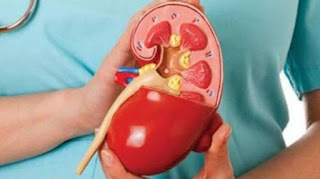 To stay safe from kidney problem, stay away from these 5 things.