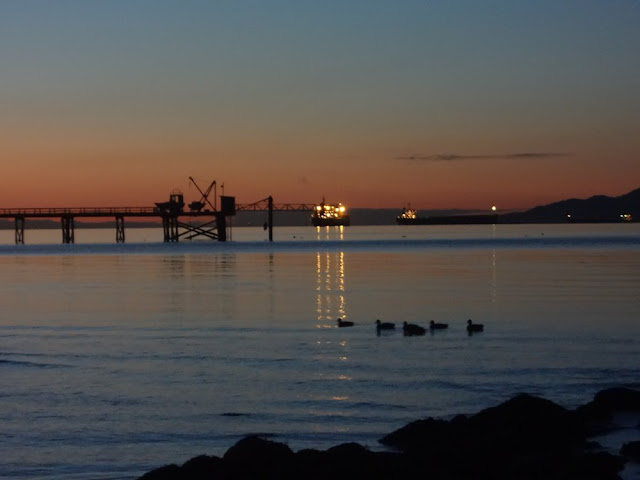 tankers and ducks in english bay vancouver